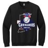 Honor Flight - Heavy Blend Crewneck Sweatshirt Thumbnail