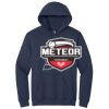 Honor Flight - Heavy Blend Hooded Sweatshirt Thumbnail